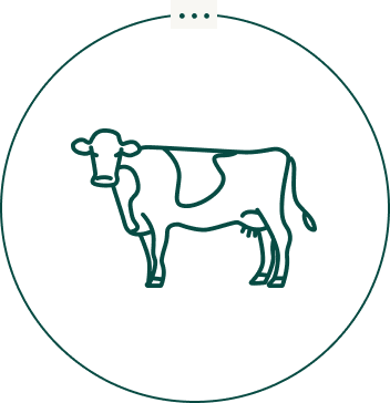 beef burger icon